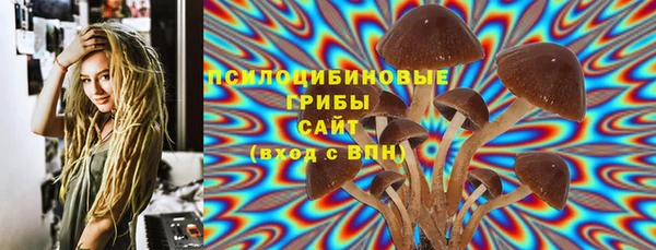 шишки Лихославль