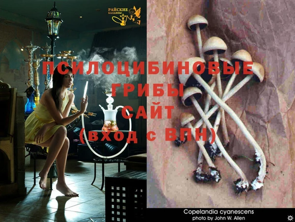 стафф Лиски