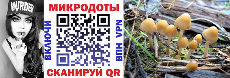 маркетплейс Telegram  купить  сайты  Ноябрьск  Галлюциногенные грибы мухоморы 