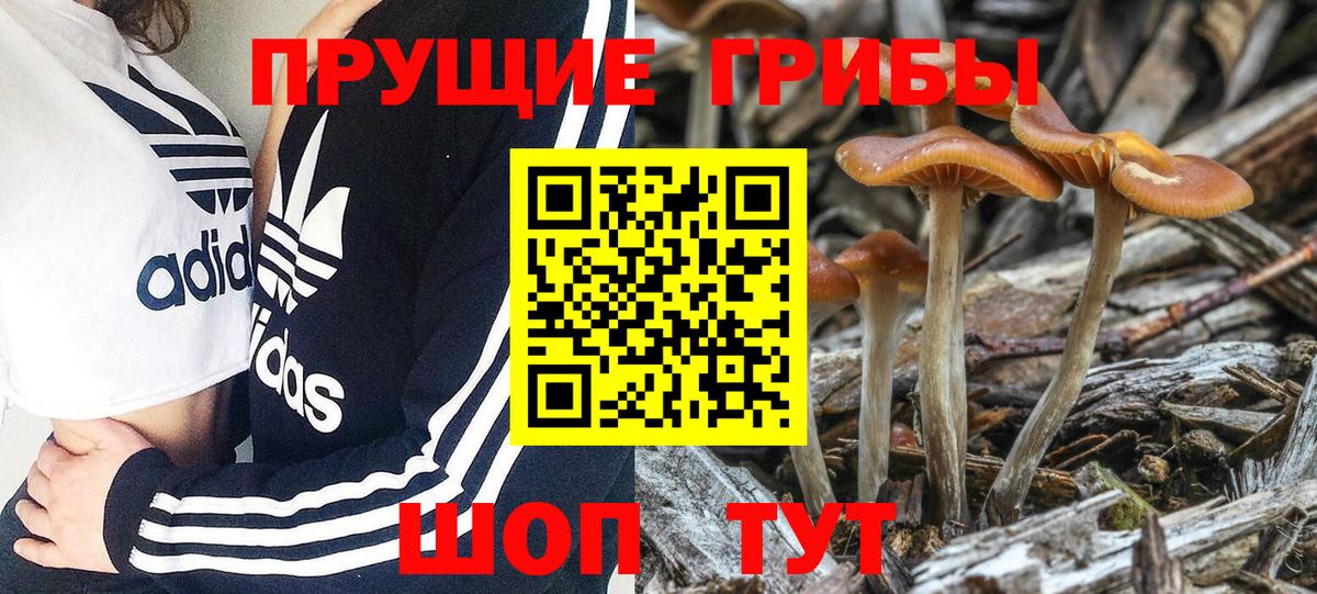 Галлюциногенные грибы прущие грибы  Вход с VPN  Ноябрьск 