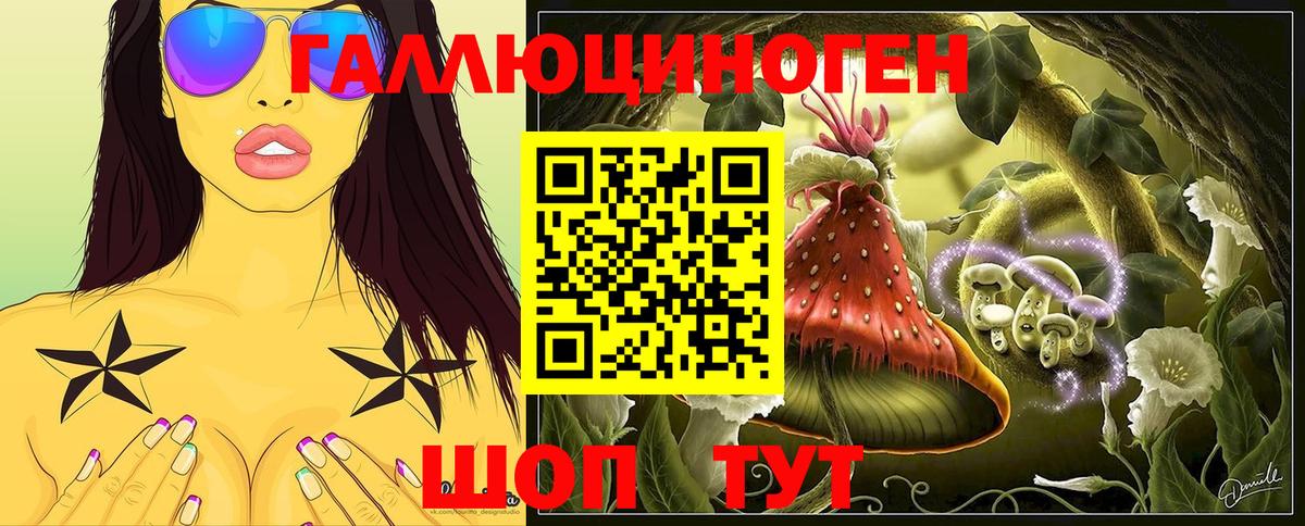 Галлюциногенные грибы Psilocybe Ноябрьск